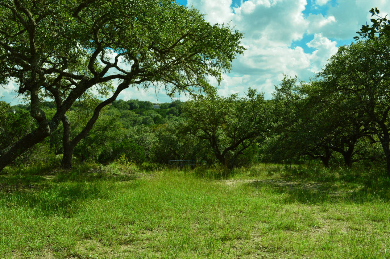 Equestrian estate for sale Spring Branch, Comal County, Texas