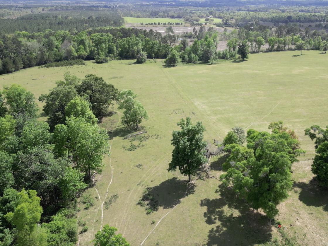 320 prime acres on HIckory Hill, Washington County - photo 9