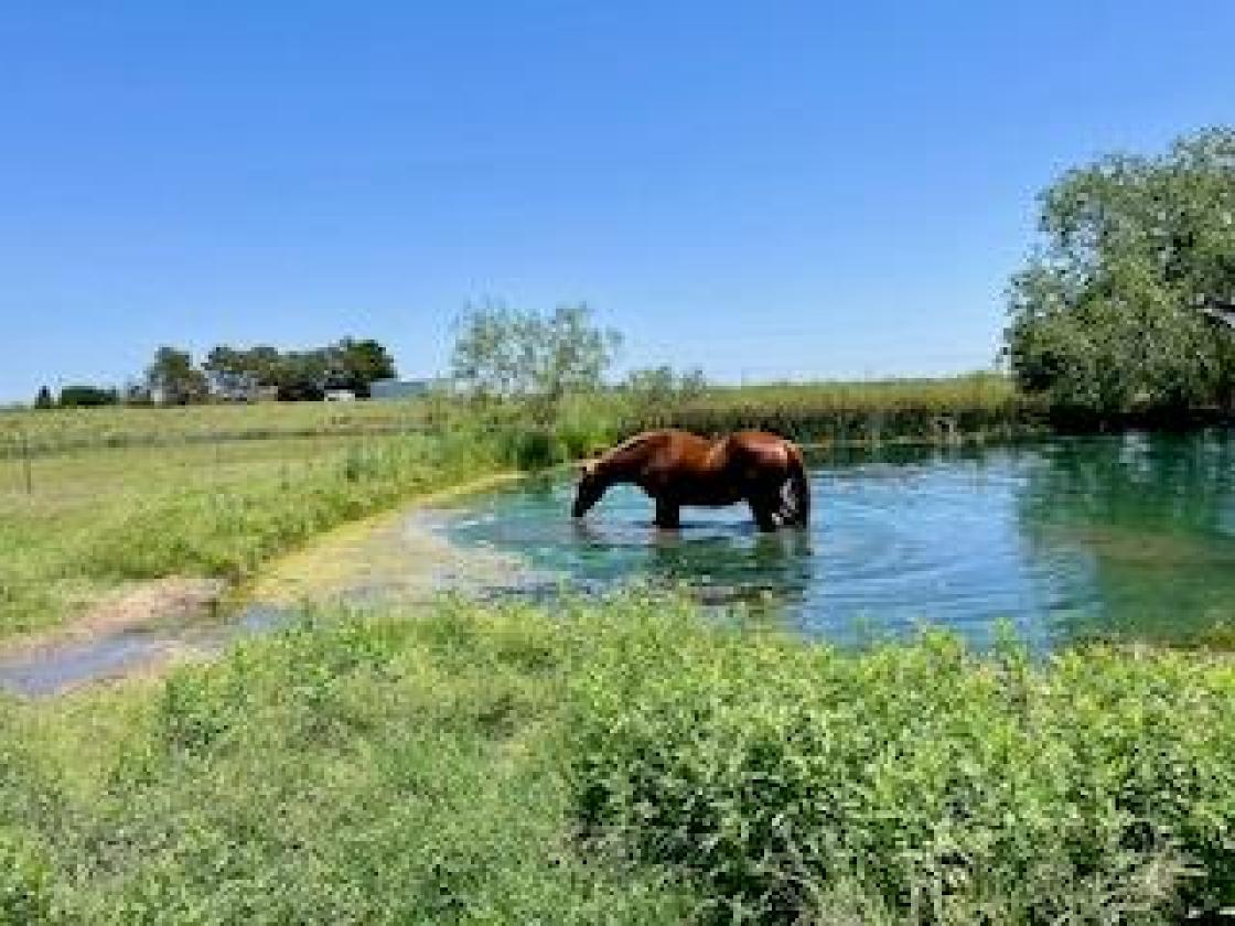 52-Acre Classic Country Property - photo 24