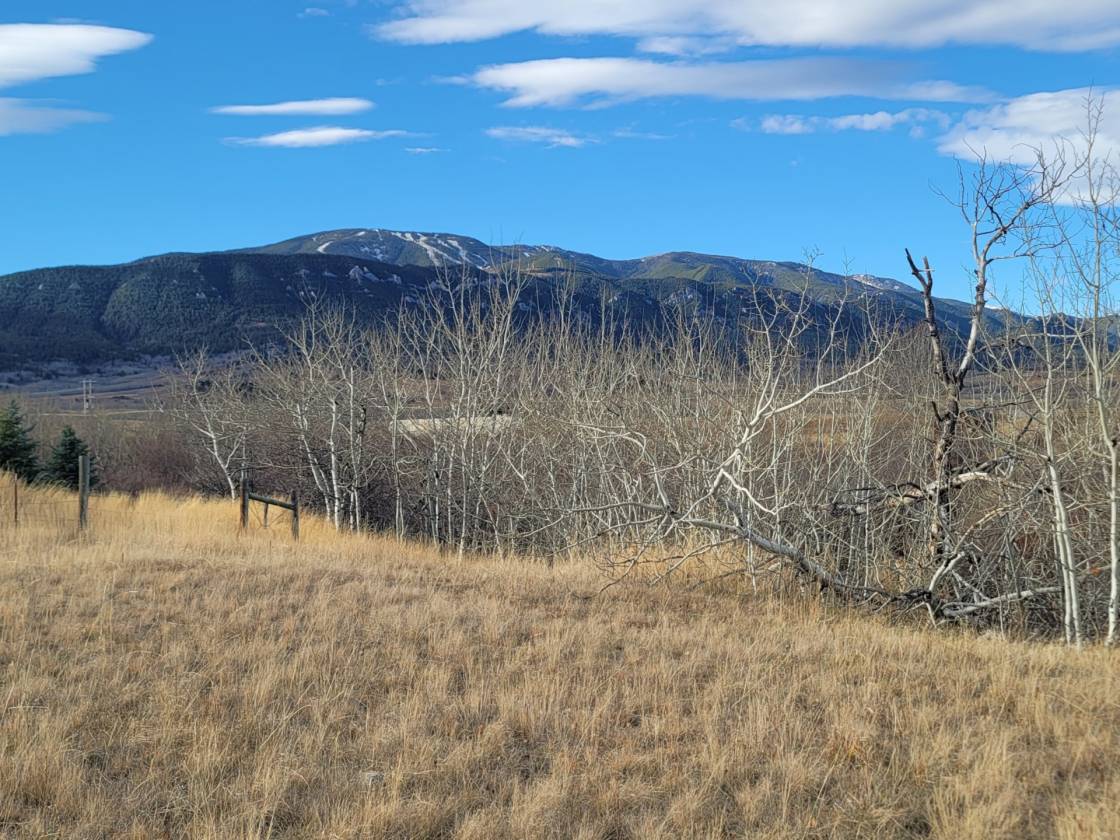 15.268 Acres! Creeks! Trails! Views! Meadows! - photo 10