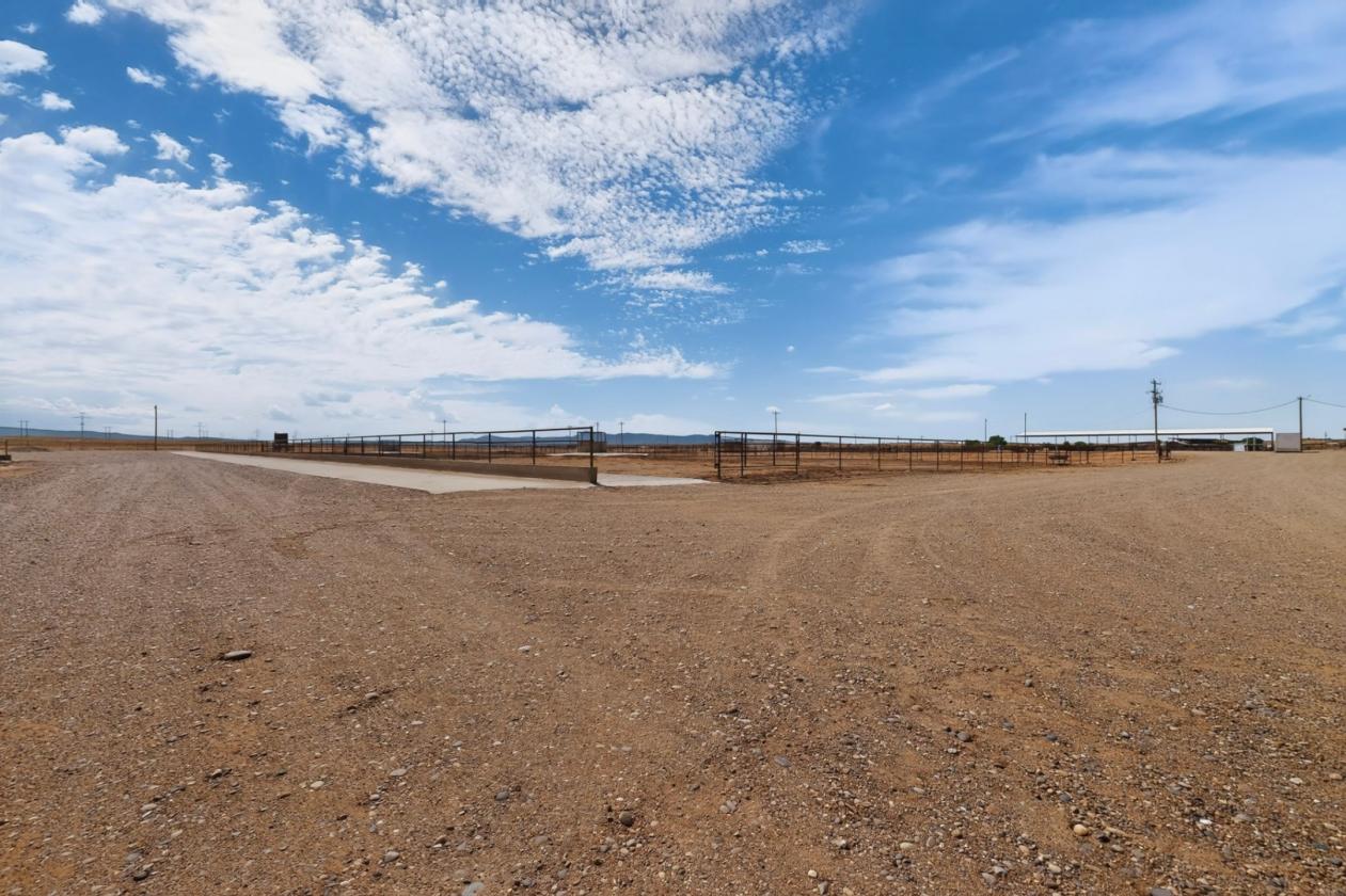 Horse Property/Dairy on 303 Acres - photo 24