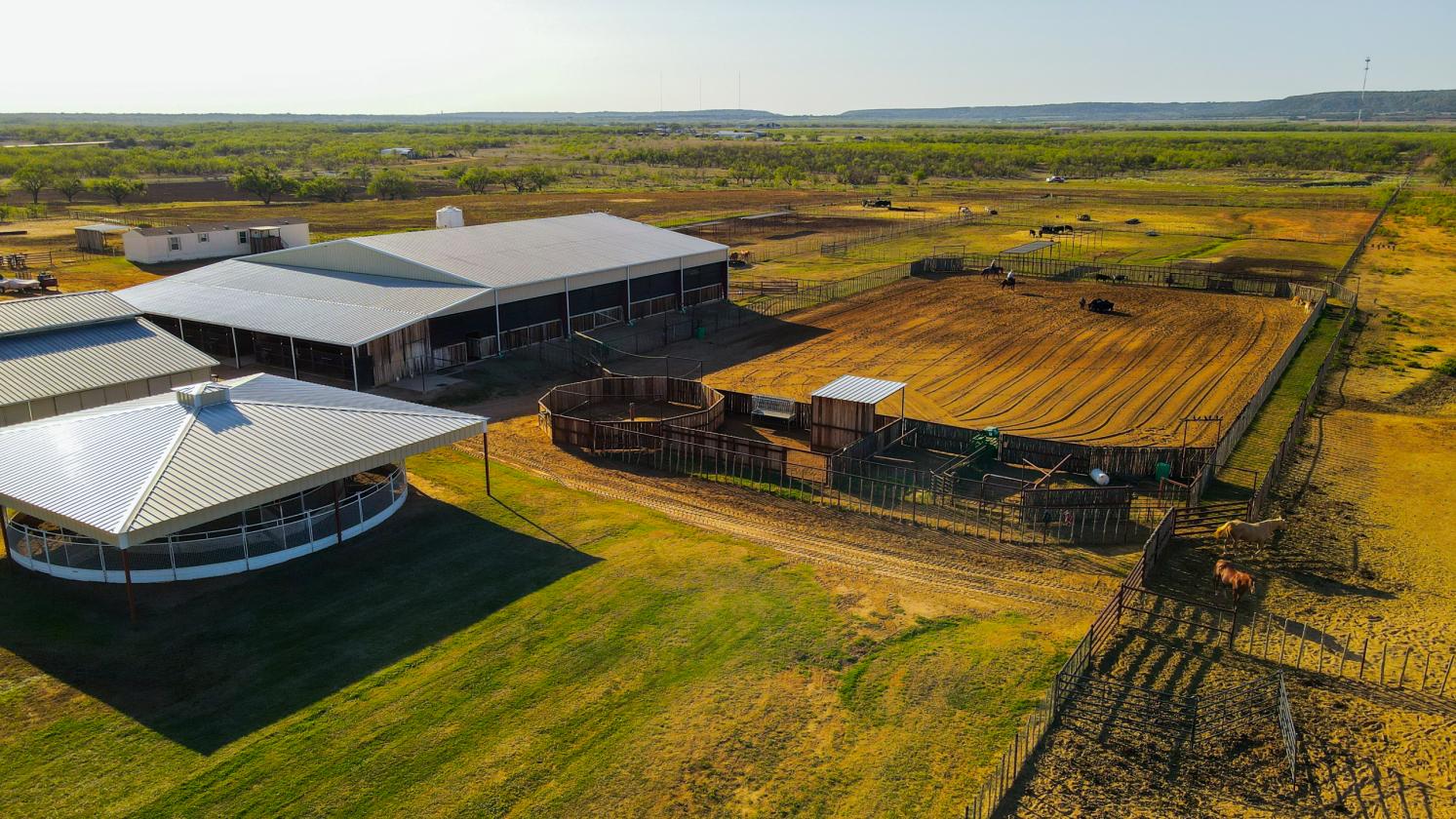 Premiere Cutting Horse Facility in Taylor County - photo 1