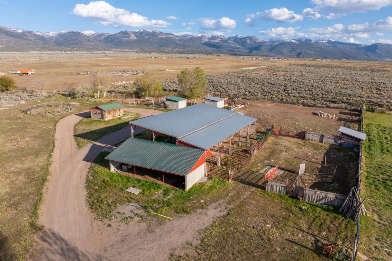 Storybook Luxury Equestrian Estate - photo 16