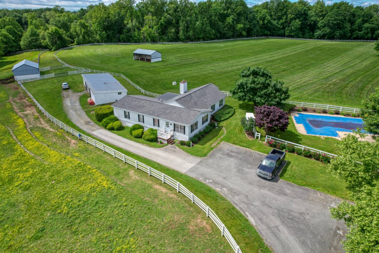 CandyLand Farm: Where Dreams Gallop Free! - photo 18