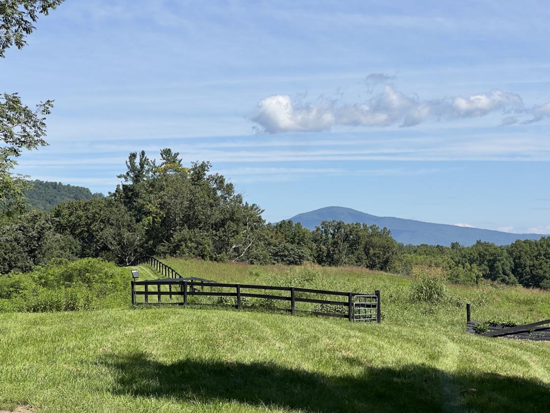 Fox Hill - in Virginia's Hunt Country - photo 29