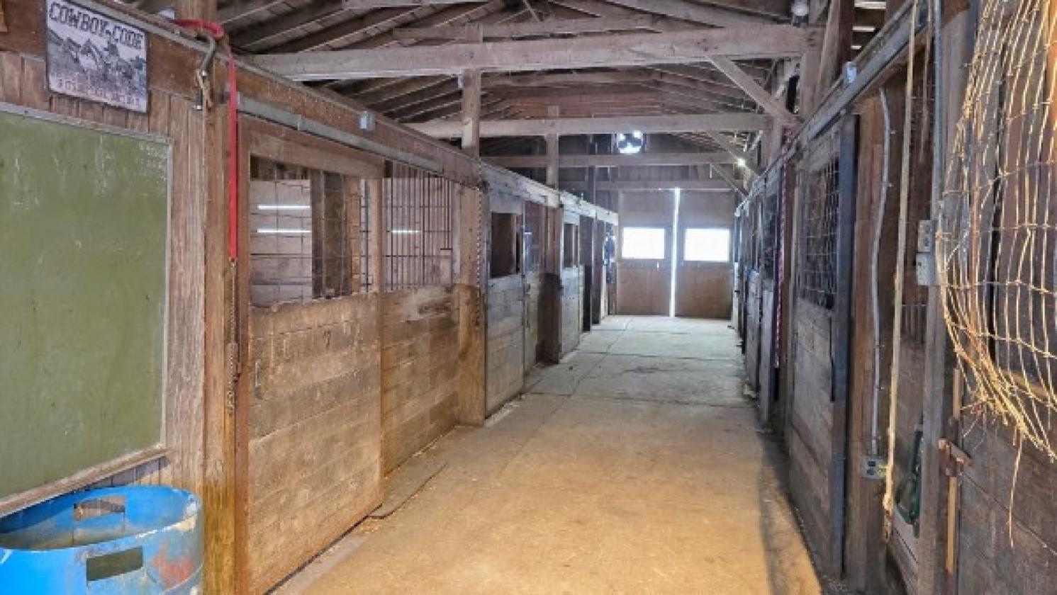 12 Acre farm with additional land available - photo 6