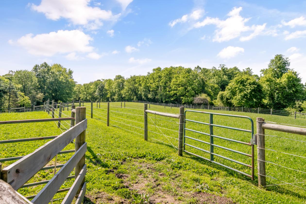 Expansive Equestrian Estate on 13 Acres! - photo 26