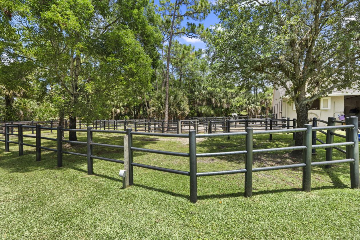 Luxury Equestrian Estate near Wellington - photo 10