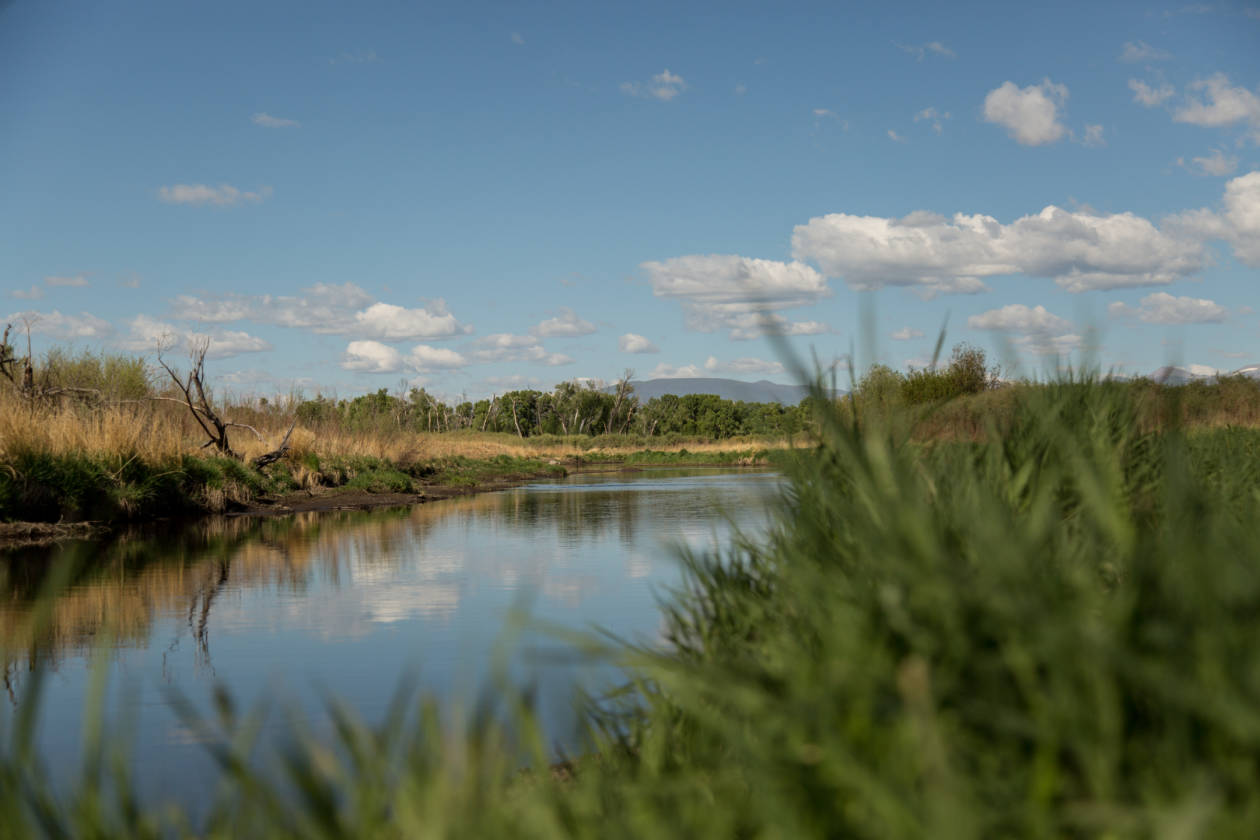 The Rio Grande River Ranch Alamosa, Alamosa County, Colorado