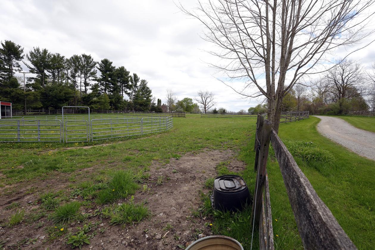 Perfect small horse farm with fenced pastures - photo 16