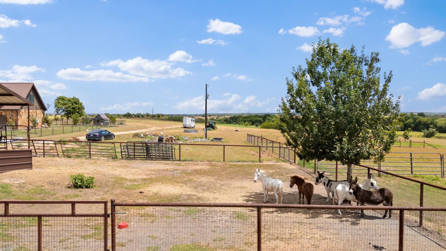 Your Texas Equestrian Dream Starts Here - photo 8
