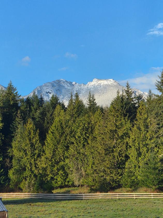 18+ Acre Turn-Key Ranch With Mountain Views - photo 2
