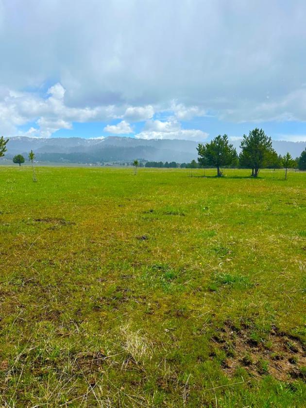Property with a view - photo 5
