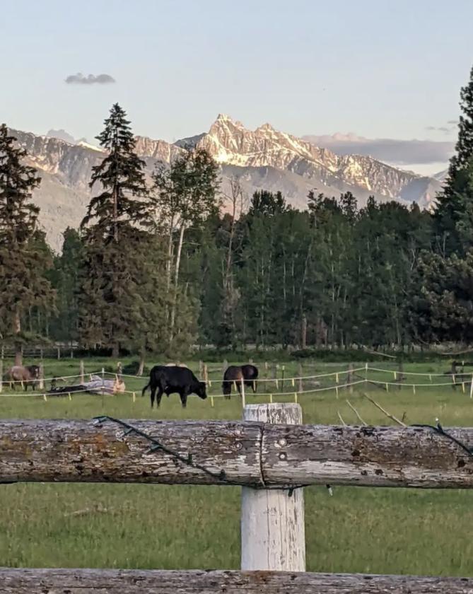 Mountain Views, horses and a beautiful home - photo 18