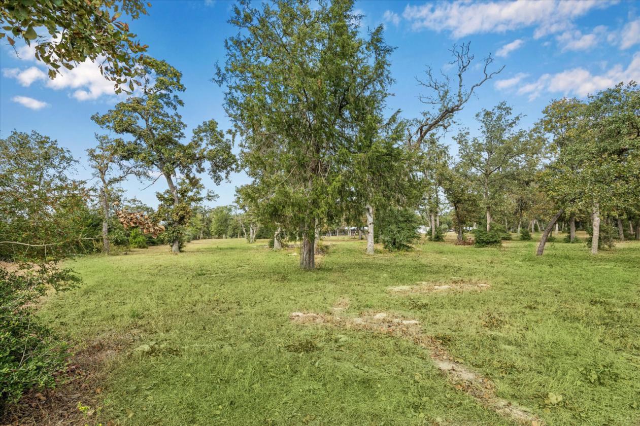 Beautiful Horse Barn on 5.2 Acres - photo 6