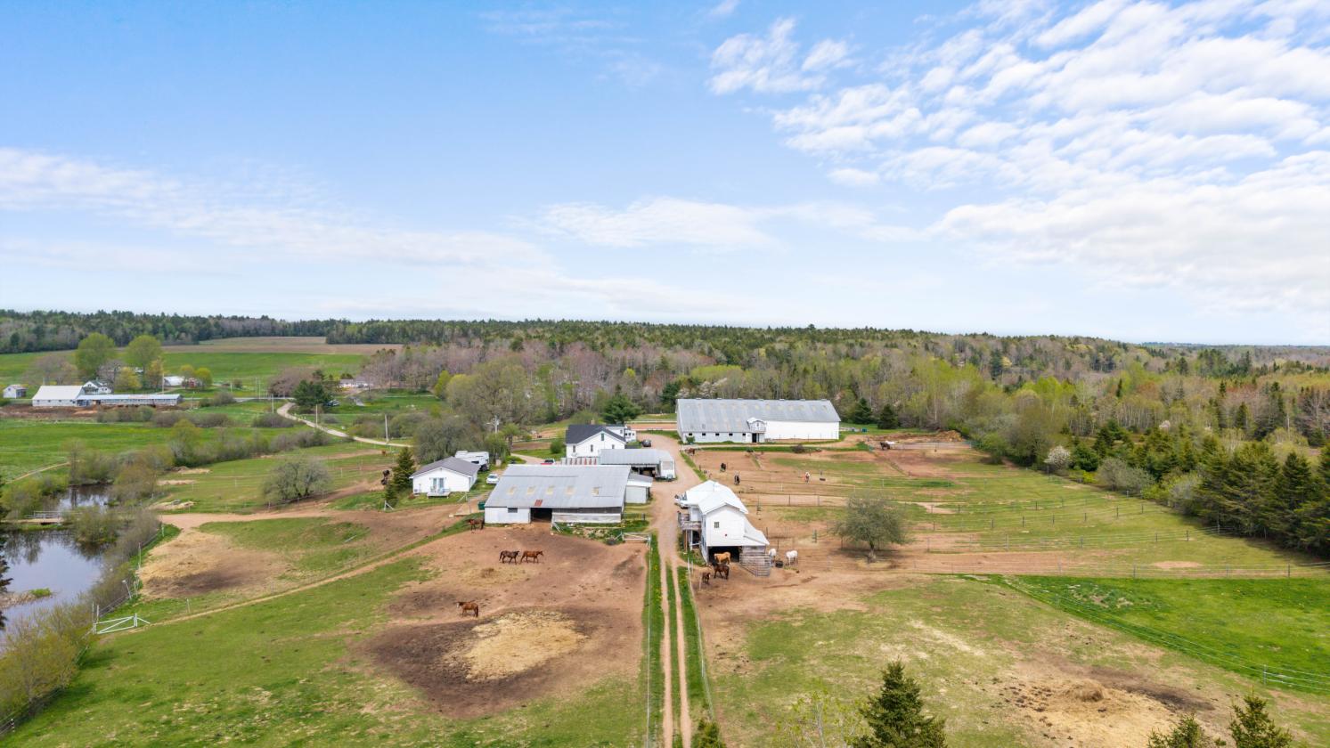 41 Acre Equestrian Facility with 2 homes For Sale - photo 14