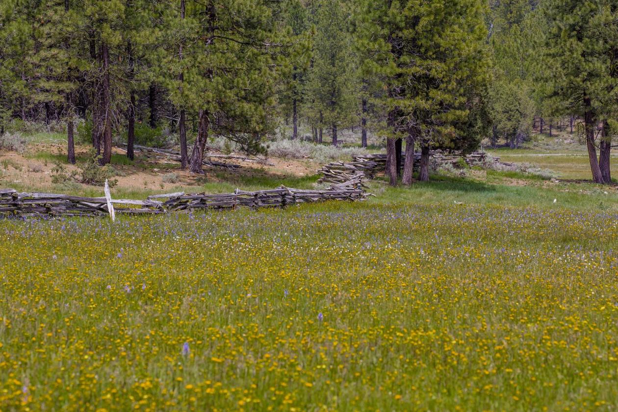 Aspen Ridge Ranch - photo 8