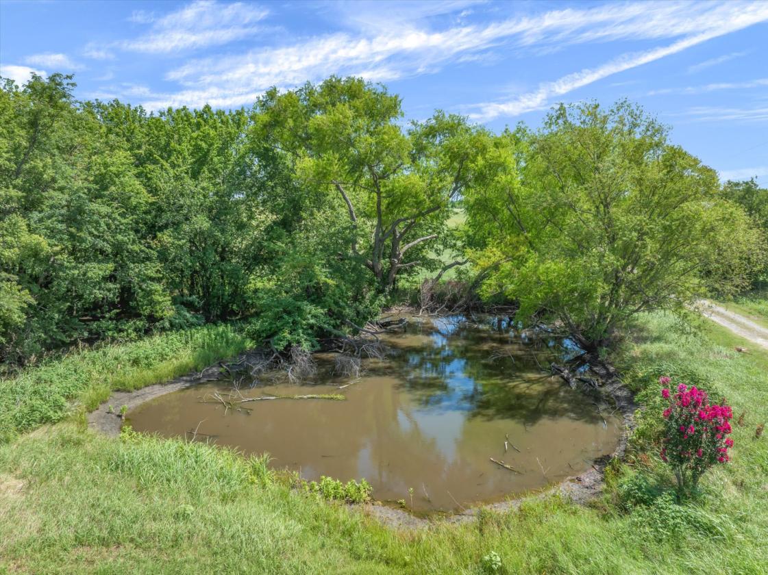 Rare 22.85-Acre Ranch in Rockwall County - photo 29