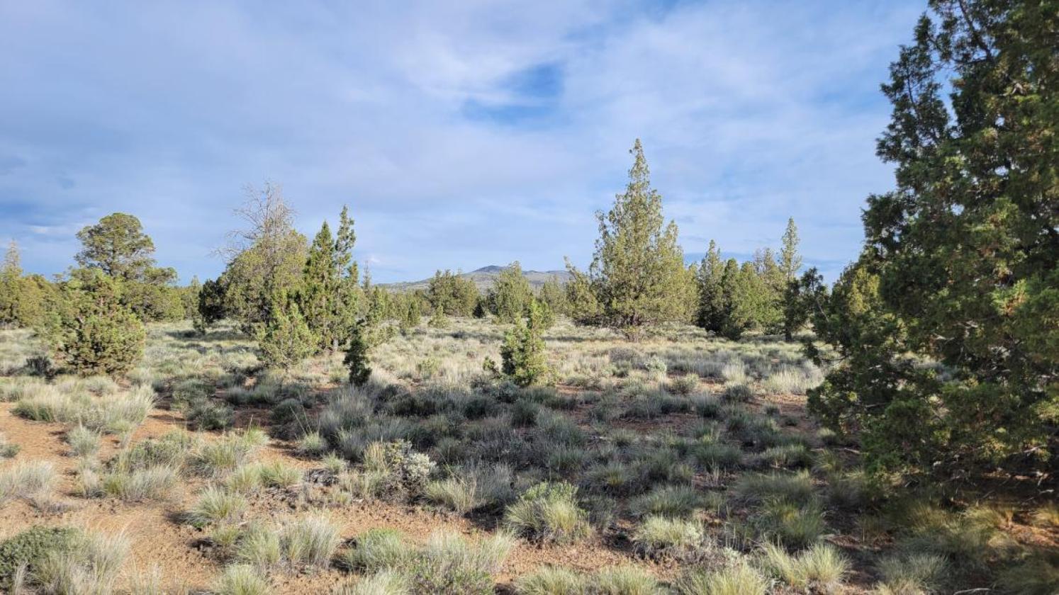 9.8 Buildable acres / Cross fenced - photo 9