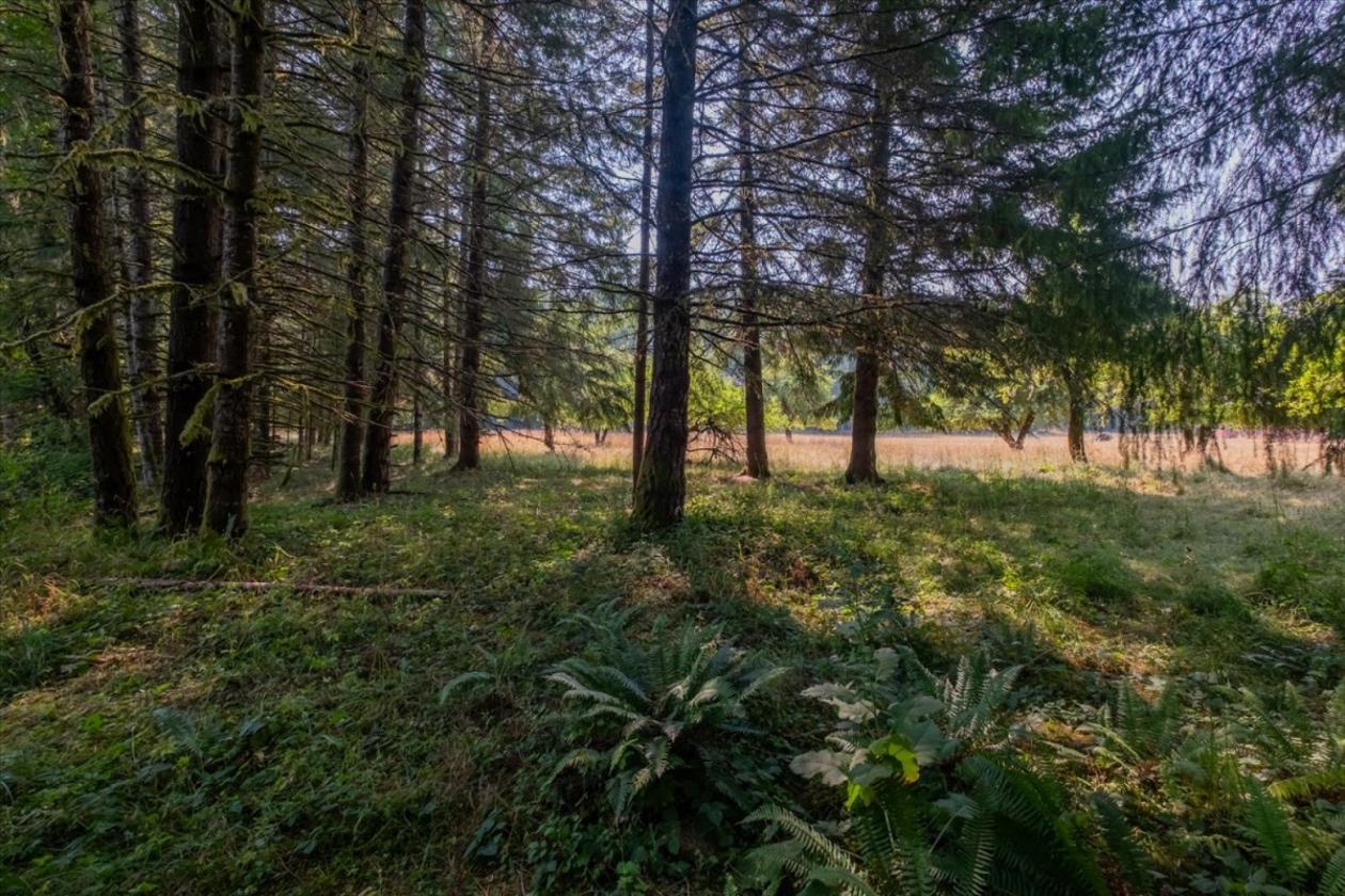 Pristine Hobby Farm in Coastal Oregon with a Creek - photo 23