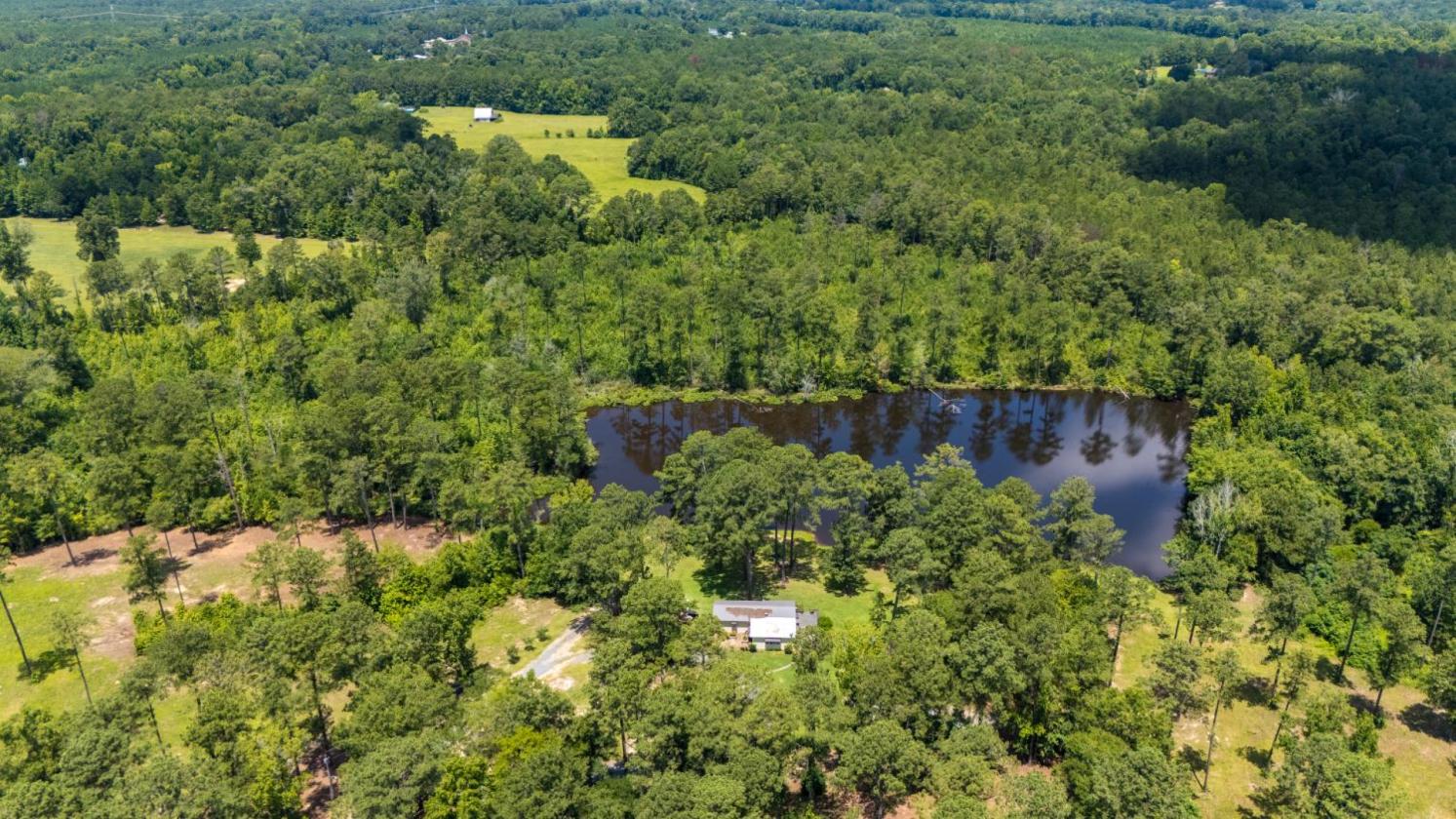 Equestrian Farm with 2 homes and stocked pond - photo 17