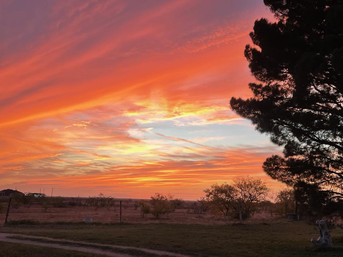 52-Acre Classic Country Property - photo 2