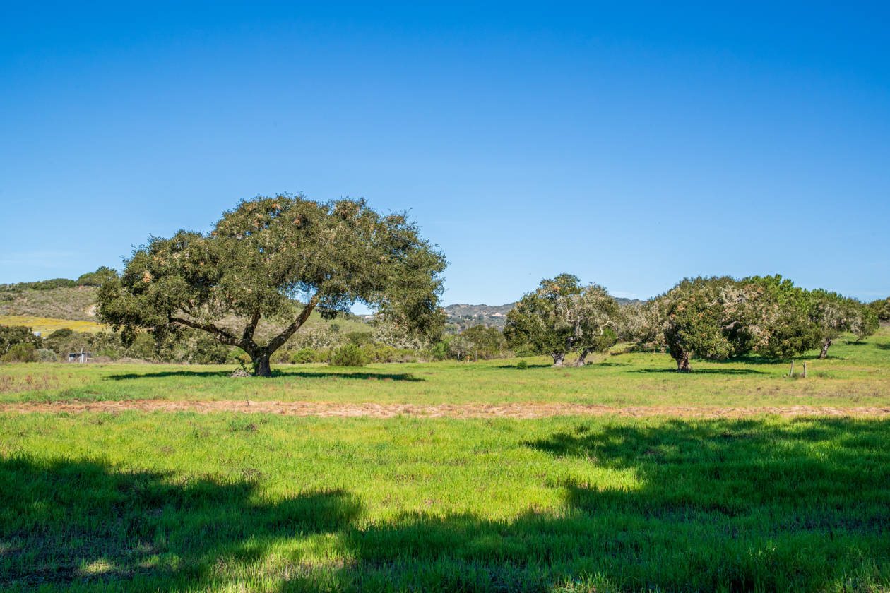 Superior usable acreage to restore a former horse boarding ranch