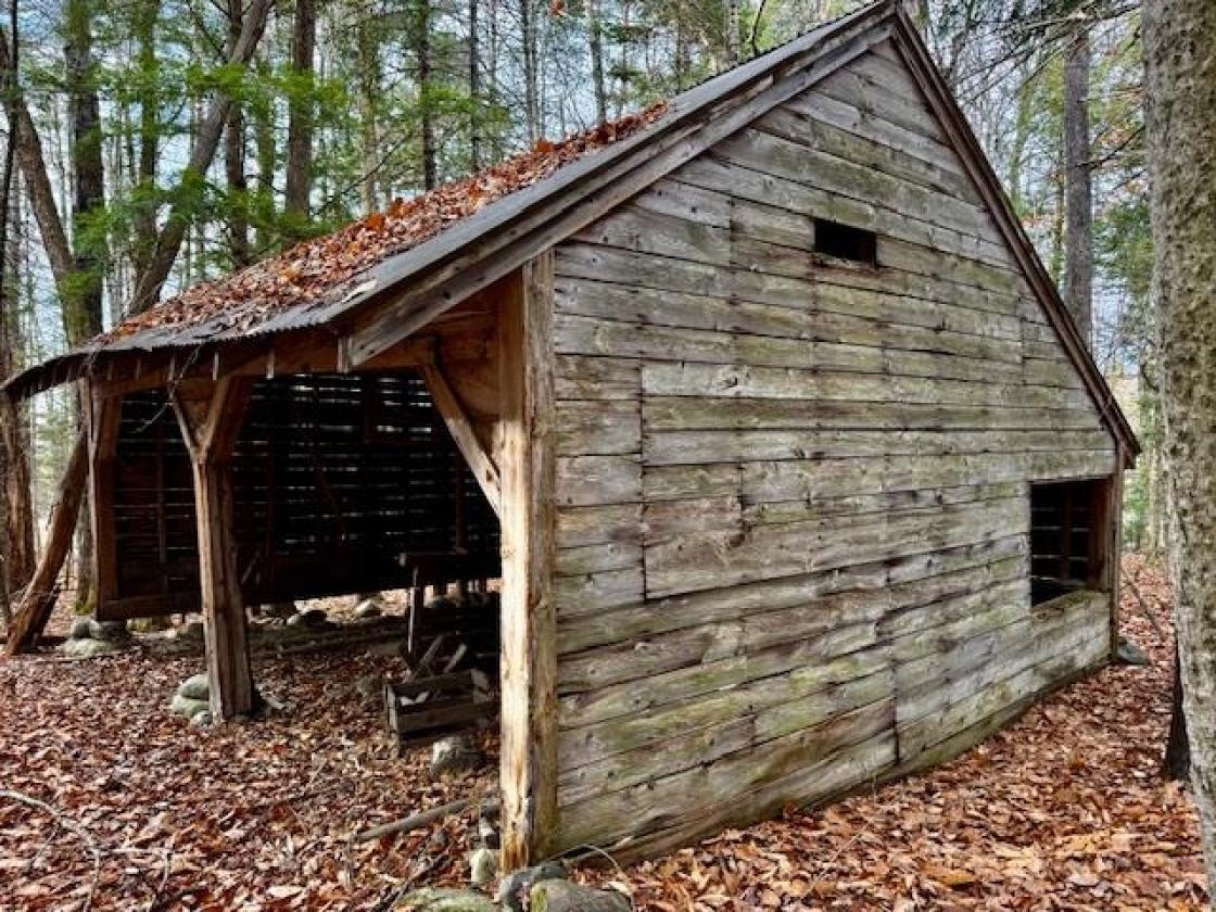 Fabulous Mountain Views, 33 Acres, and Barn! - photo 4
