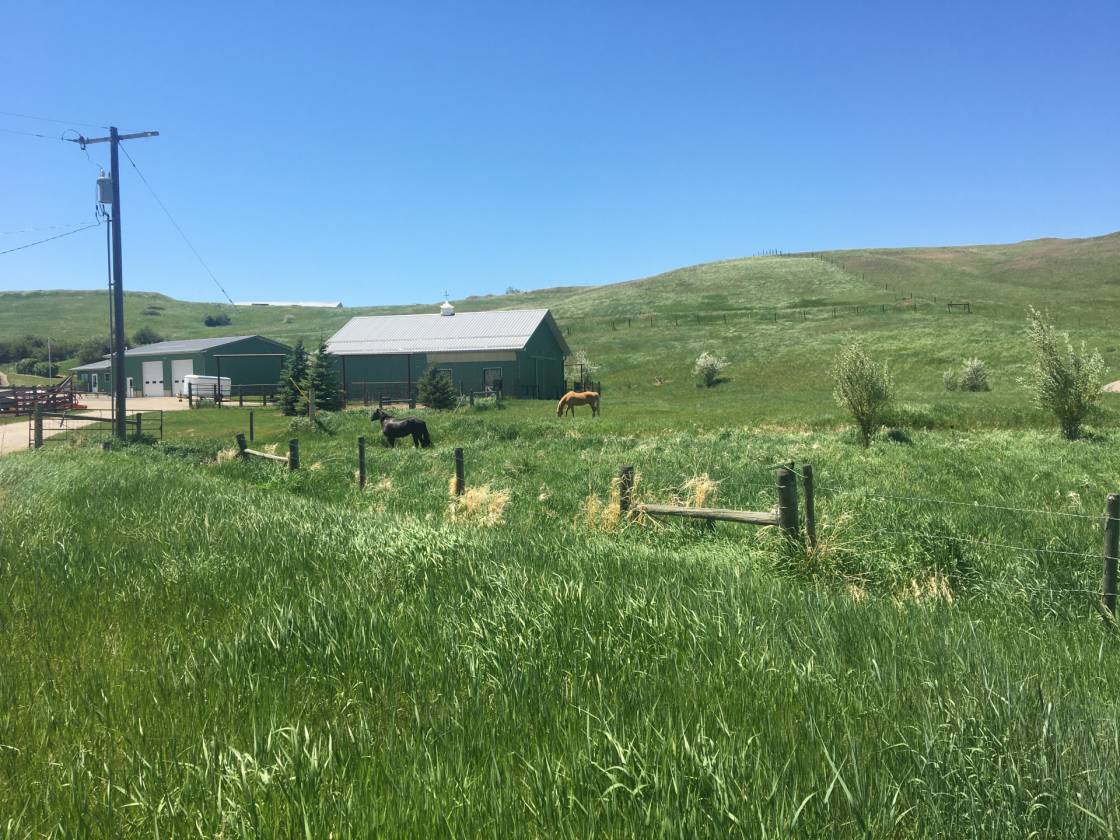 Horse Property for sale.