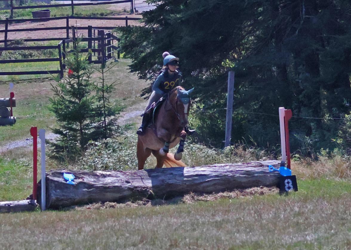 40 Acre Equestrian Property with Indoor Arena - photo 30