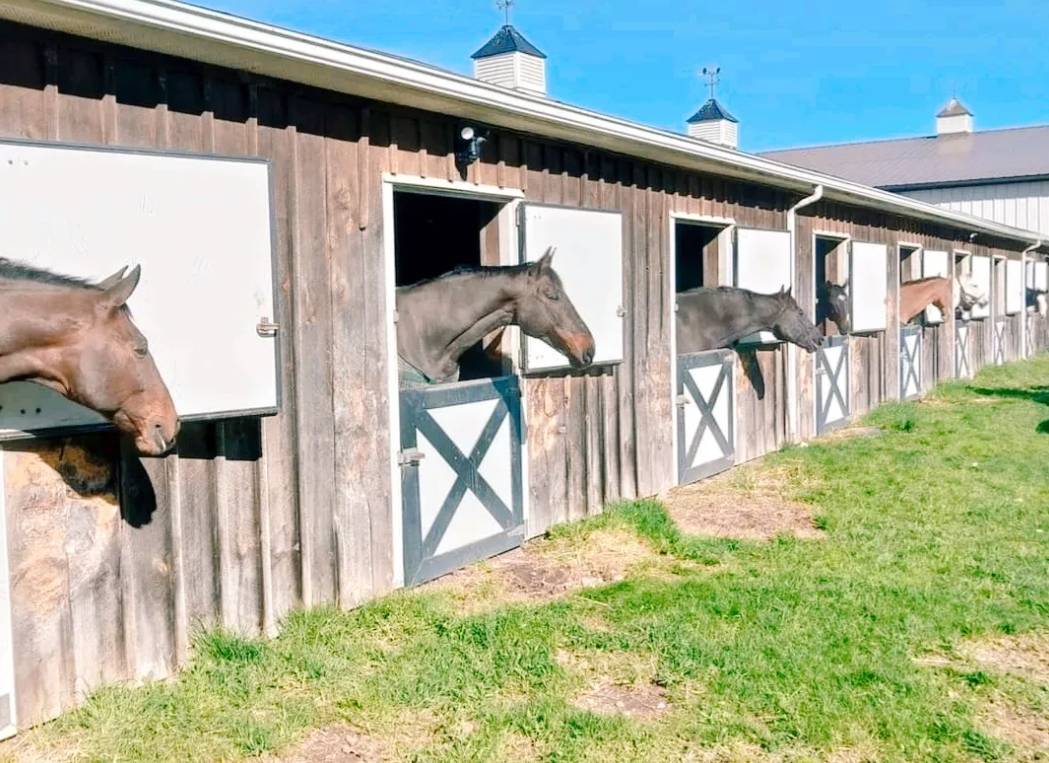 Horse Property for sale.