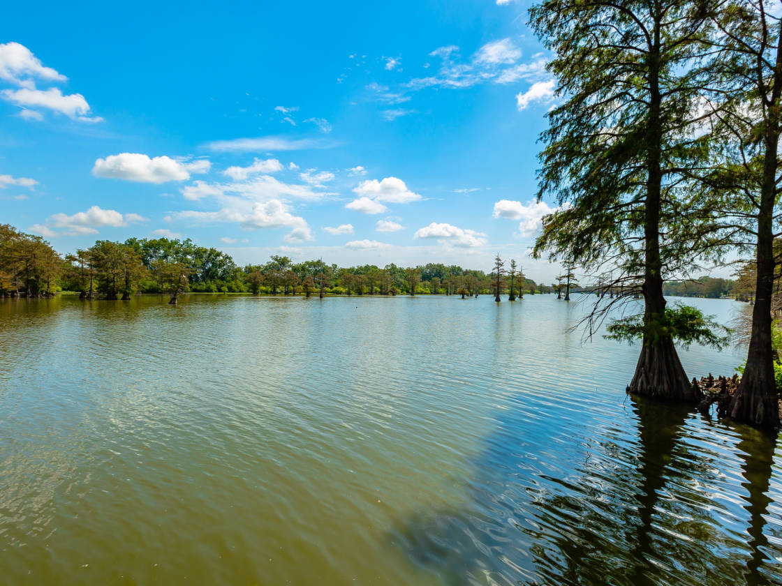 50+ ACRE LUXURY ESTATE ON BEAUTIFUL WOLF LAKE!! Yazoo City, Yazoo