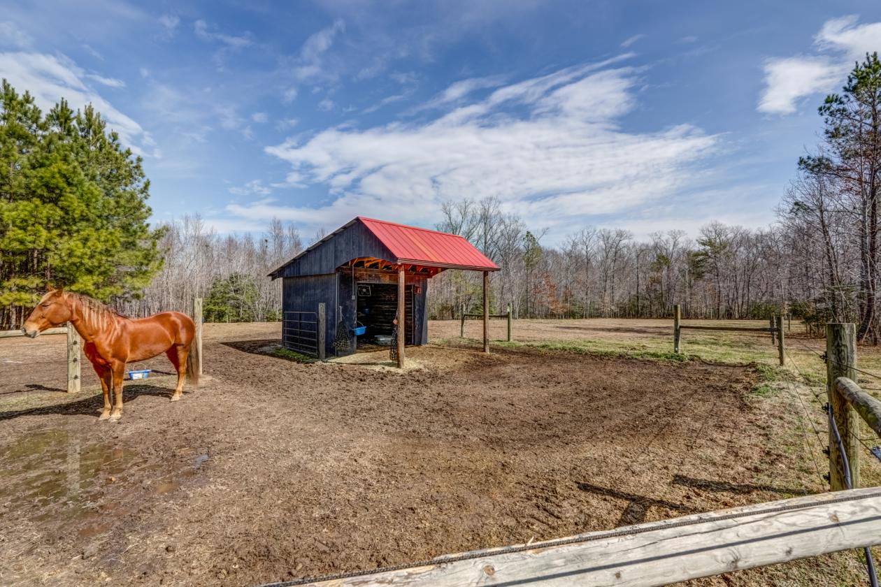 Walnut Grove Horse Farm - 117.7 Acres +/- - photo 26