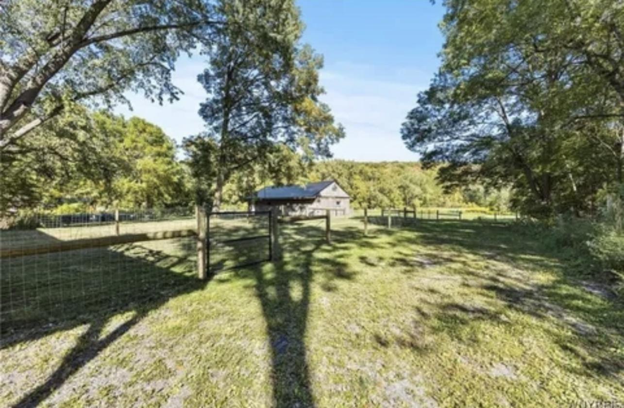 Horse Property gorgeous view 5ac- 2 barns & home - photo 9