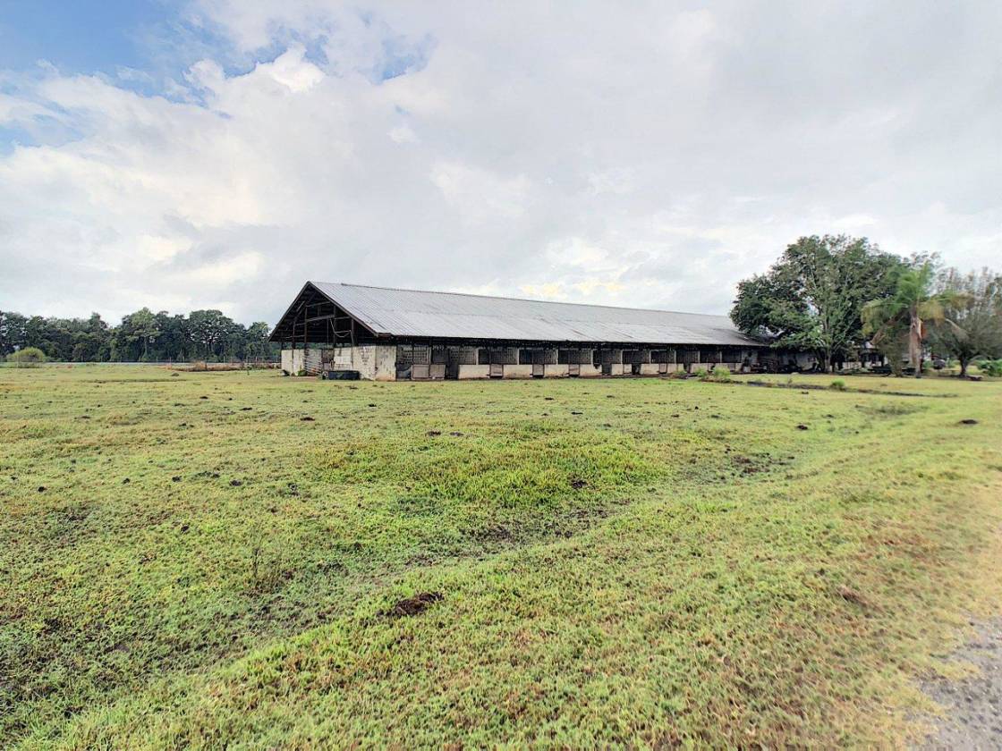 76 Acre Horse Ranch in Dade City for sale Dade City, Pasco County