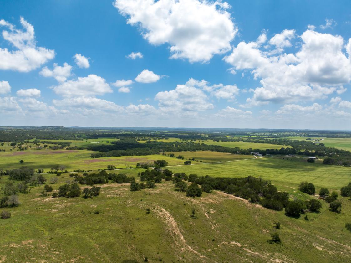 Equestrian Property On the Texas Wine Trail - photo 4