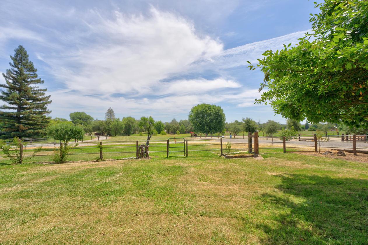 First Time On Market - The Potter Ranch - photo 10