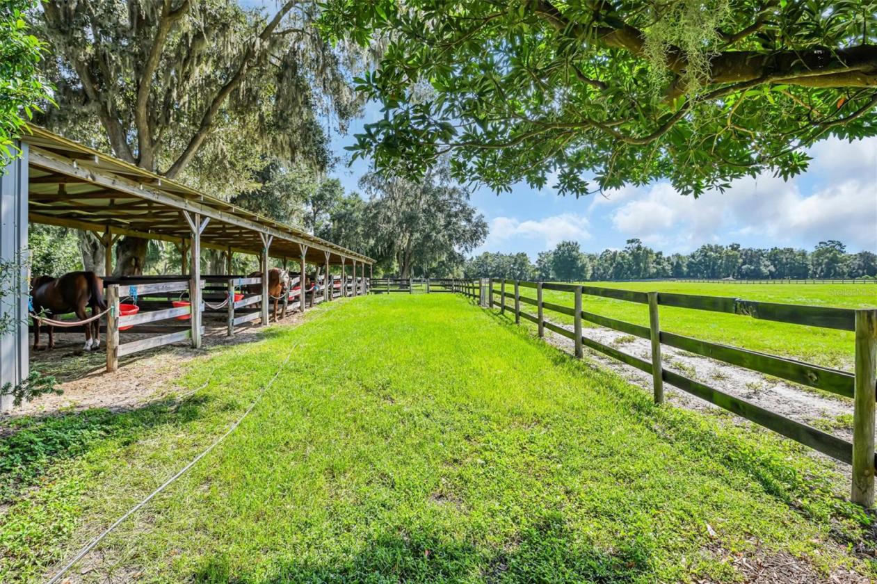 10.58-Acre Horse Farm with a 7 Stall Block Barn! - photo 17