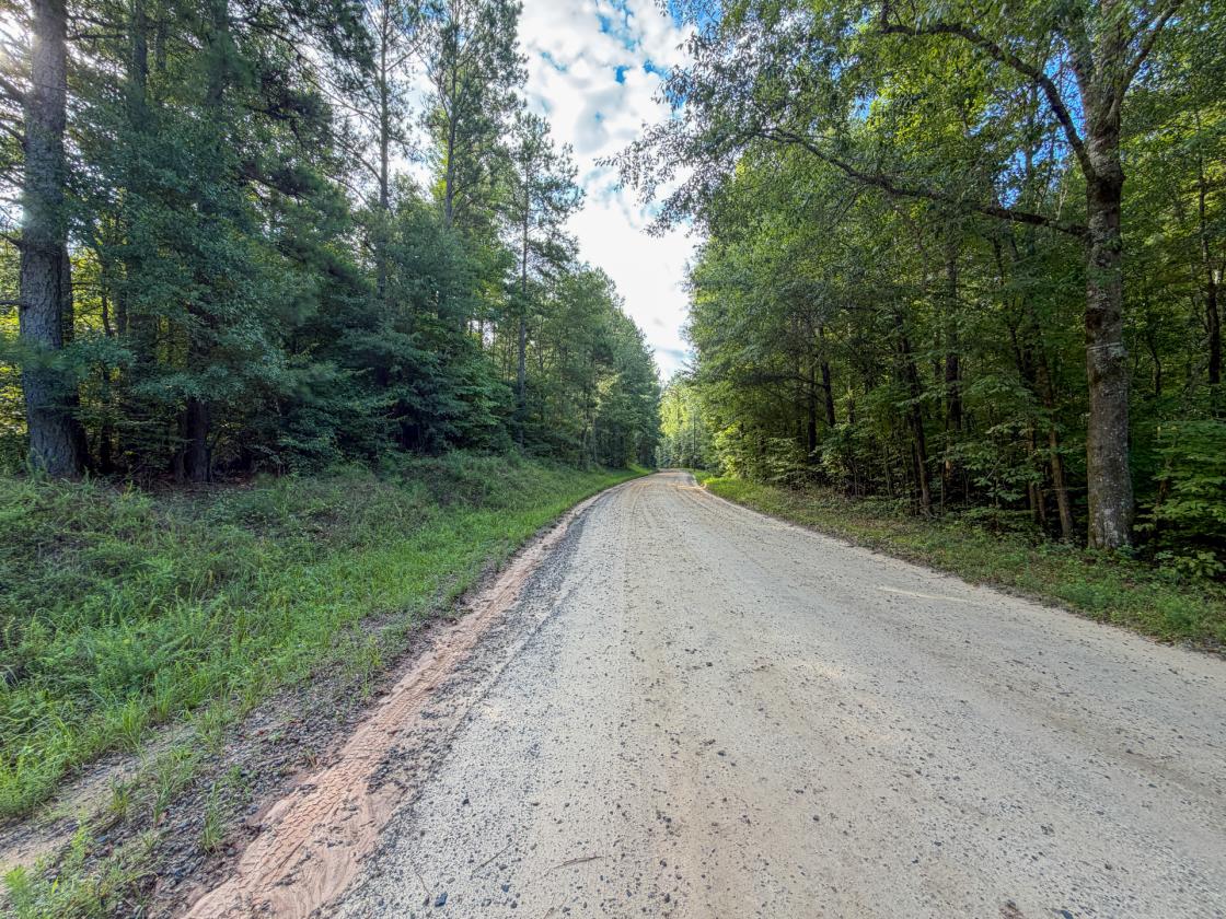 Bear Creek Retreat - photo 10