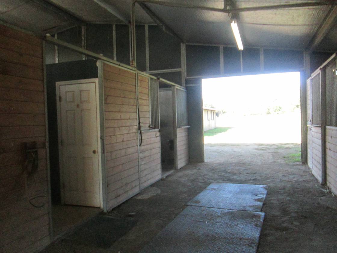 Horse Farm with potential development - photo 21