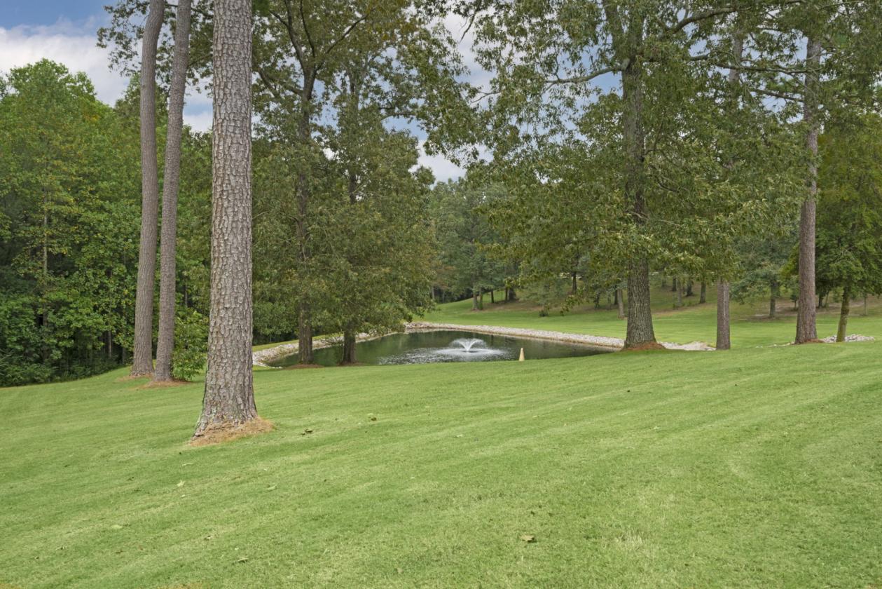 Magnificent 31+ ac equestrian estate - photo 28