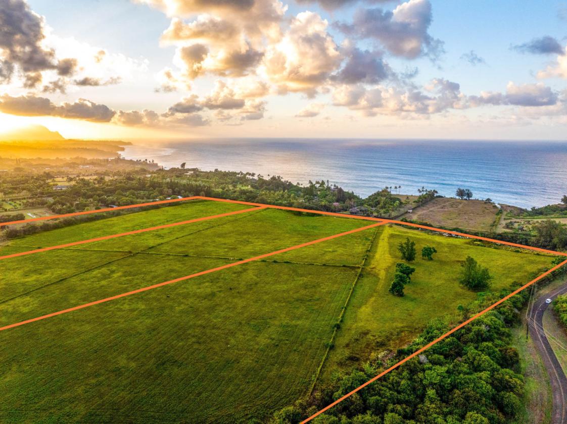58+ Acres of Prime Land on Kauai's North Shore - photo 13