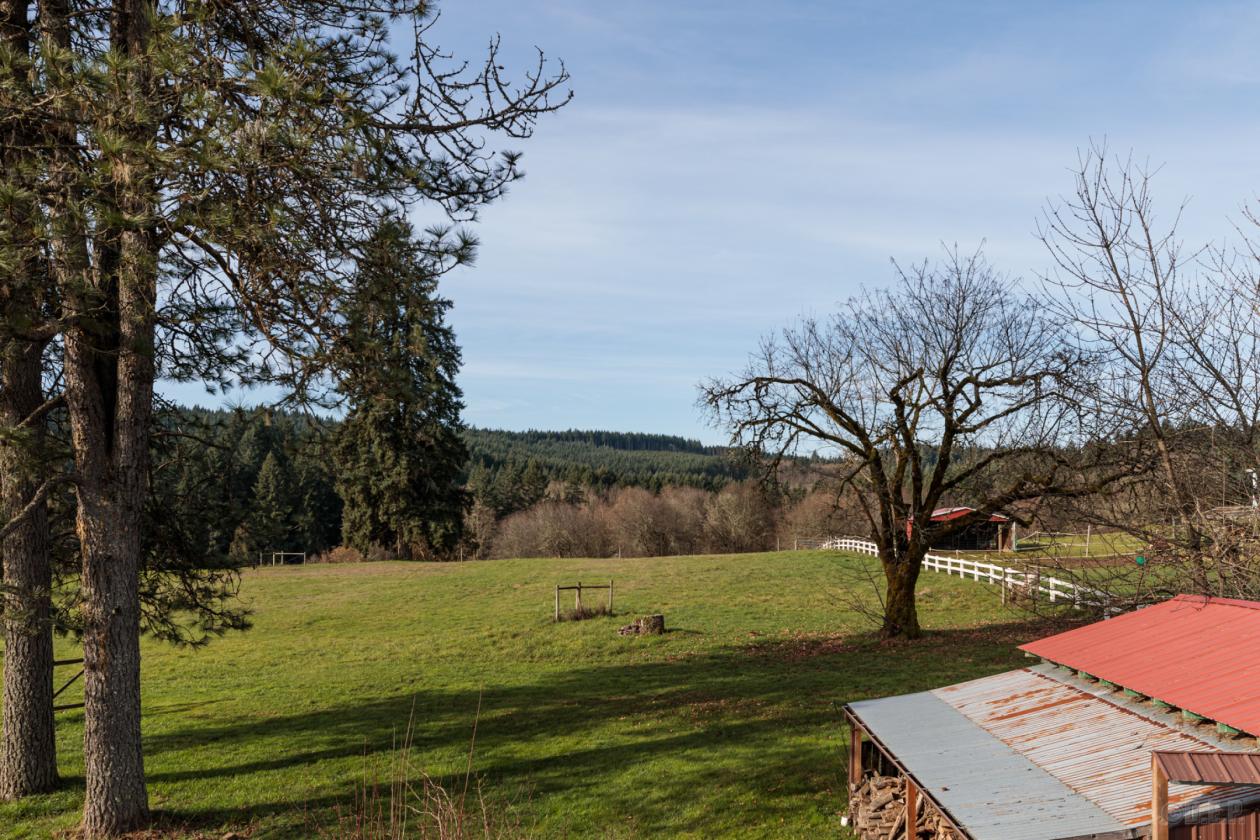 Storybook Home & Timeless Character on 3 acres! - photo 25
