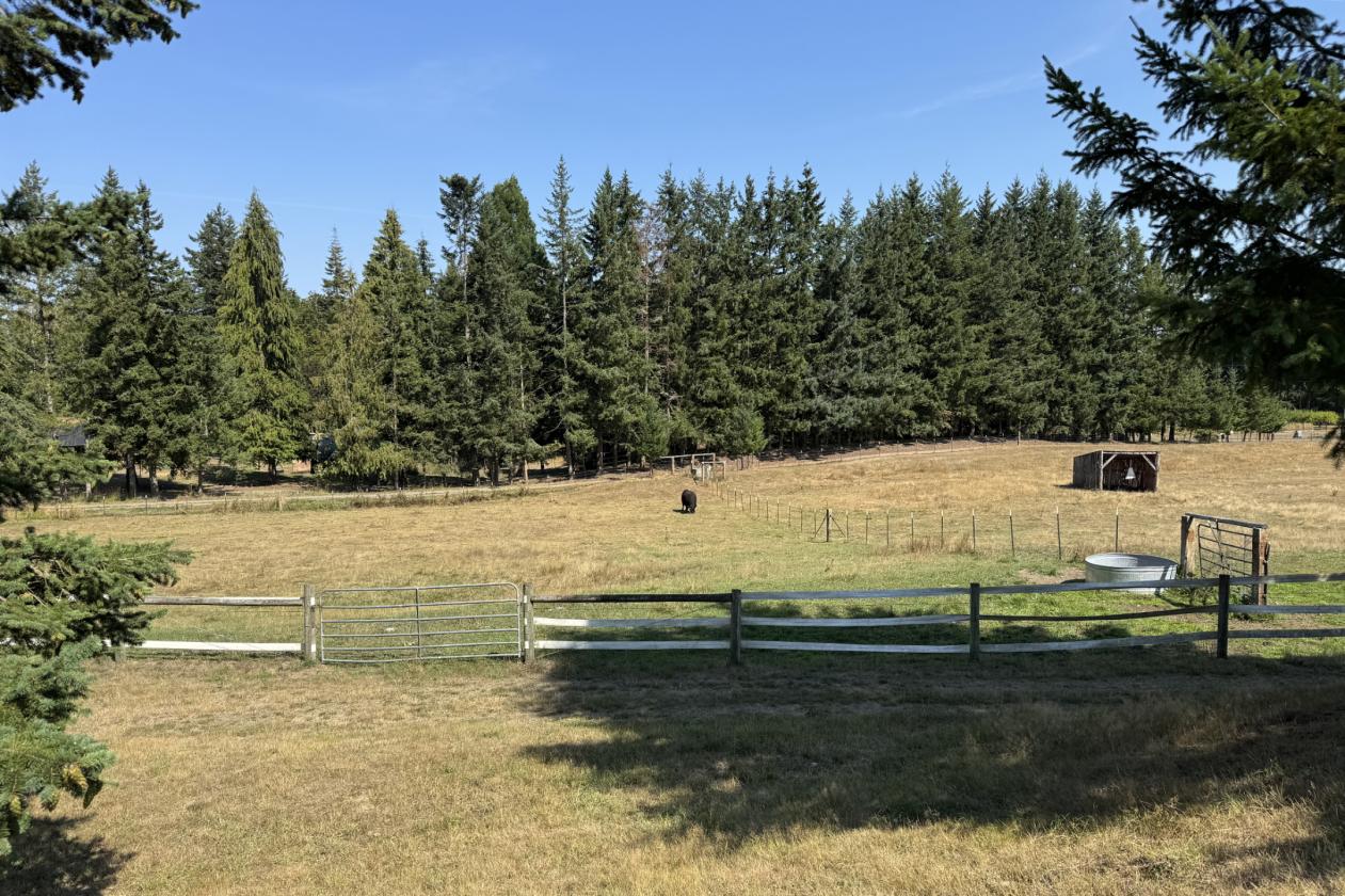 18+ Acre Turn-Key Ranch With Mountain Views - photo 11