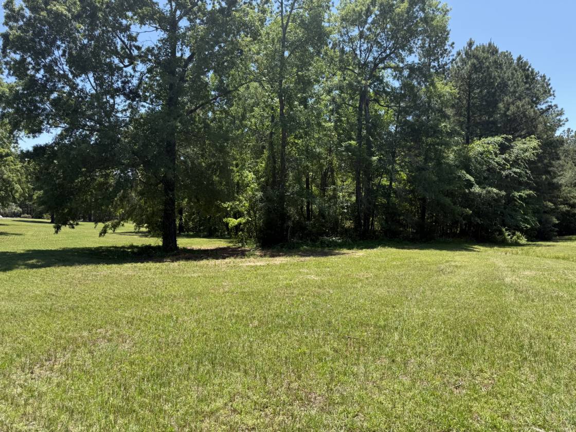 Horse Property for sale.