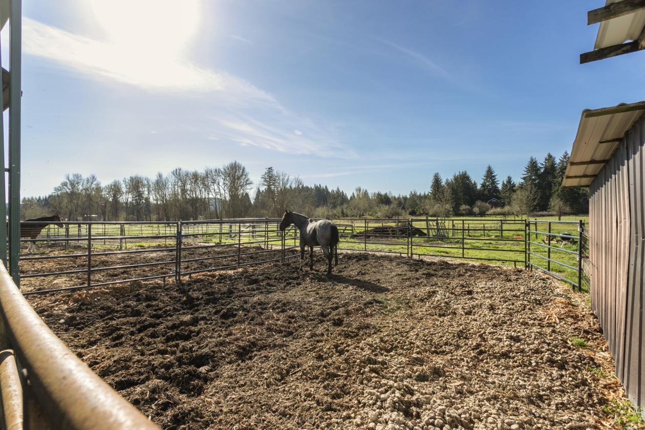 16 Stall Toledo Horse Facility - photo 10