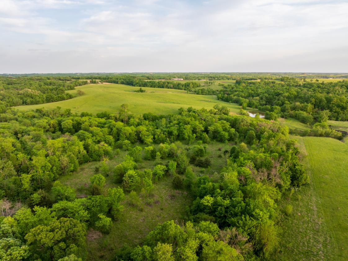 273.5 +/- Acre Turn-Key Cattle and Horse Property - photo 22