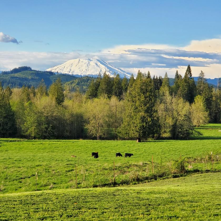 33.59 Acres with Barn, Shop & Mt. St. Helens Views - photo 9