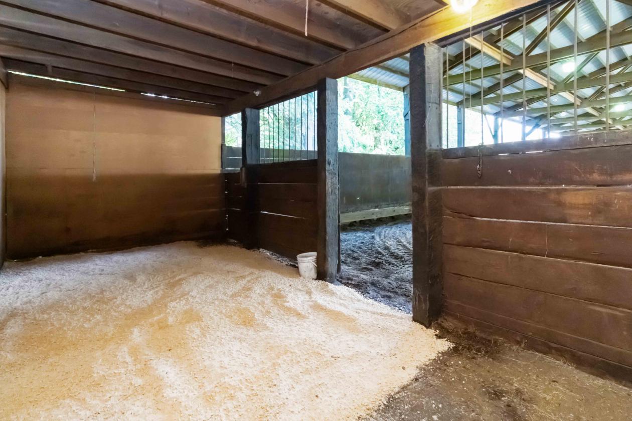 5-Acre Equestrian Retreat on Abernathy Creek - photo 23