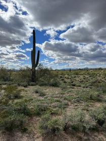 Property image.